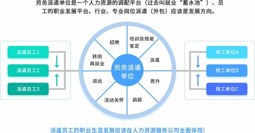 互聯(lián)網信息服務助力人力資源服務機構數智化轉型